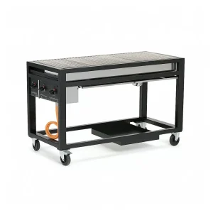 Barbecue à gaz Europa – Pour Cuisines Professionnelles