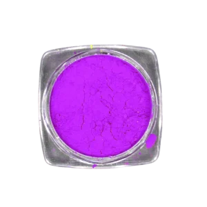 Pigment Neon Purple