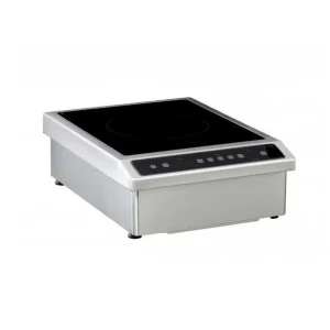 Plaque induction posable Bioline Mono foyer Triphasé – Modèle BTIC 6000