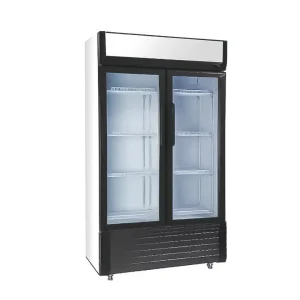 Armoire réfrigérée positive 2 portes vitrées 610 L