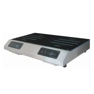 Plaque induction posable gamme geoline double foyer modèle GL2 5000 S